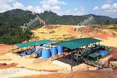 Malaysia 700TPD Gold Processing Plant